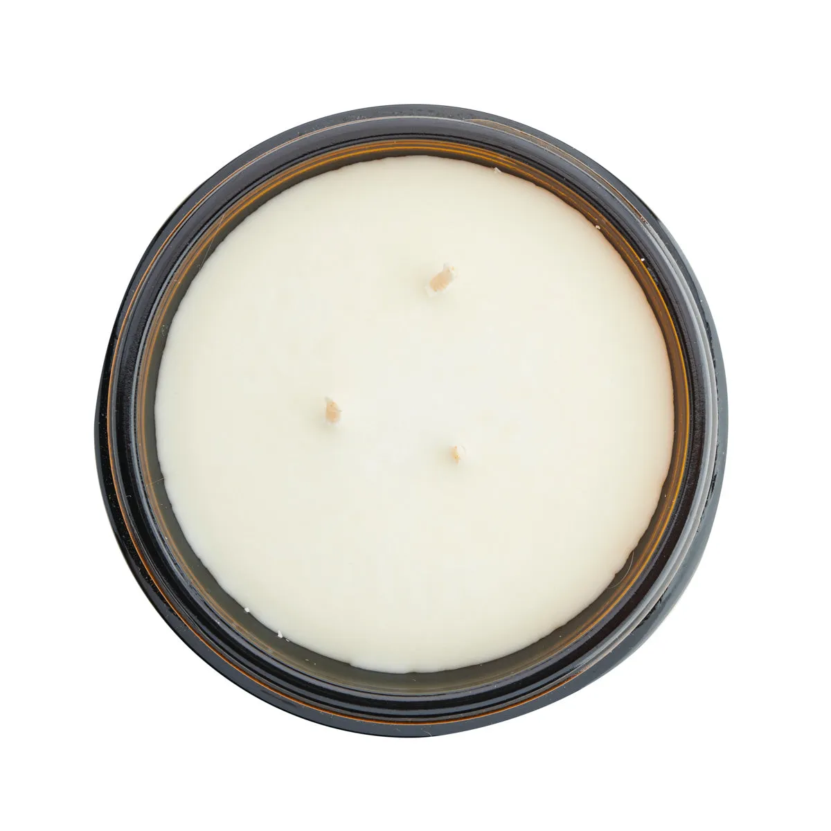 Bliss Candle with Lime & Juniper Berry | Uplifting and Cleansing