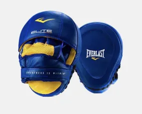 Everlast Leather Punch Mitts