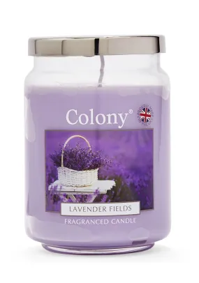 Large Jar Lavender Fields Candle