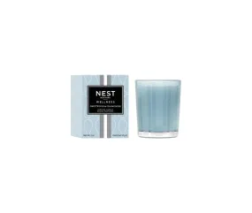 Nest Votive Candle 2oz: Driftwood and Chamomile