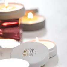 Salus Travel Soy Candle